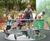 Wildlife Wheelspin wheelchair-accessible, inclusive roundabout 0