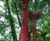 Upside Down Tree Sculptures 9124431740 4