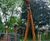 Upside Down Tree Sculptures 9124431740 5