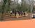 Balancing Beam Course 2