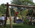 Nest Swing 4