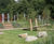 Standing Seesaw 3