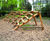 Amphitheatre Outdoor Seating 0