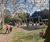Robinia play equipment for country estate visitors' park 1