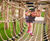 Creating an award-winning playground - Oxhey Park 4