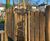 Inclusive wildlife-themed equipment for King Edward VII play area 5