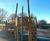 Inclusive wildlife-themed equipment for King Edward VII play area 1