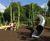Bespoke treetop adventure play - Hyde Park, London 2