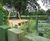 Bespoke treetop adventure play - Hyde Park, London 3