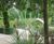 Bespoke treetop adventure play - Hyde Park, London 4