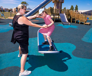 Butterfly Seesaw