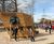 Bespoke ‘Endeavour’ play ship for Stewart Park 0