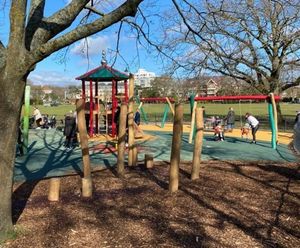 A collaborative approach to Poole Park play area