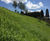 Hydroseeding service for erosion control 8