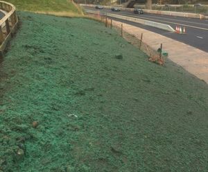Road embankments hydroseeded with DOT mix