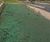 Road embankments hydroseeded with DOT mix 0