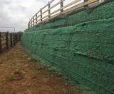 Retaining wall hydroseeded with wildflower seeds - on this page