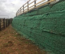 Retaining wall hydroseeded with wildflower seeds