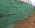 Retaining wall hydroseeded with wildflower seeds 2