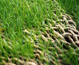 HBRS erosion control jute blankets - on this page