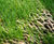 HBRS erosion control jute blankets 0