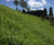 Armadillo Soft-Armour erosion control system 3