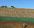 Hydroseeding service for erosion control 2