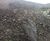 Hydroseeding with biotic soil amendment at a wind farm 2