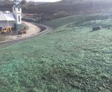 Verdyol Biotic Earth used for slope surface preparation - on this page