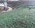 Verdyol Biotic Earth used for slope surface preparation 0
