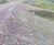 Hydroseeding with biotic soil amendment at a wind farm 3