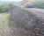 Hydroseeding with biotic soil amendment at a wind farm 1