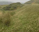 Hydroseeding with biotic soil amendment at a wind farm - on this page
