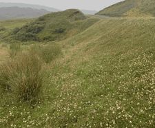 Hydroseeding with biotic soil amendment at a wind farm