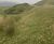 Hydroseeding with biotic soil amendment at a wind farm 0