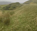 Hydroseeding with biotic soil amendment at a wind farm
