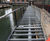 Decking for K1 and K2 floating pavilions - Wood Wharf 6