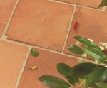 Chedworth Tiles - National Trust terracotta effect indoor floor tiles