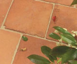 National Trust Chedworth antique terracotta floor tiles - on this page