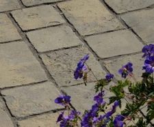 National Trust Tatton Cobbles 