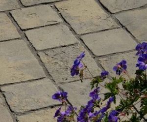 National Trust Tatton Cobbles 