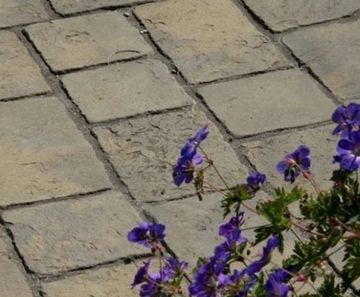 National Trust Tatton Cobbles 