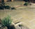 Yorkshire Street - reproduction handmade flagstone paving 13