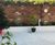Portland White -  porcelain flooring tiles 5