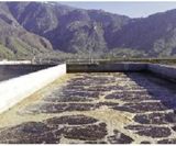 VARI-CANT® jet aeration systems - on this page