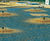 Aqua-Lator® surface aerators 0