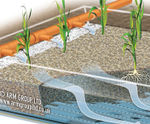 Forced Bed Aeration™ for wetland wastewater treatment