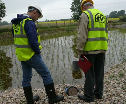 Reedbed refurbishment, monitoring, training and consultancy