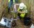 Reedbed refurbishment, monitoring, training and consultancy 1