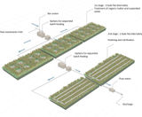 UK first: constructed wetland for full primary treatment - on this page